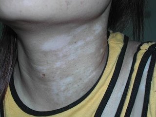 �������ְ�������Щ�����й�